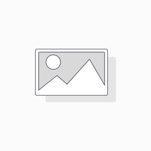 Custom API Integration